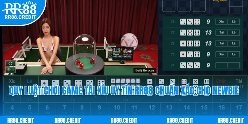 Quy luật chơi game tài xỉu uy tín RR88 chuẩn xác cho newbie
